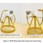 Figure 1: REM Sleep deprivation setup and Control setup.
