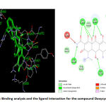 Figure 6: Binding analysis and the ligand interaction for the compound Doxycycline