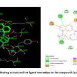 Figure 7: Binding analysis and the ligand interaction for the compound Quinine