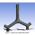 Figure 1: Lung airway model mesh preview