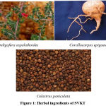 Figure 1: Herbal ingredients of SVKT