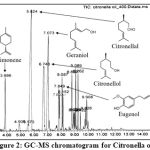 Figure 2: GC-MS chromatogram for Citronella oil.