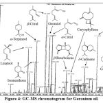 Figure 4: GC-MS chromatogram for Geranium oil.