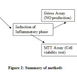Figure 2: Summary of methods