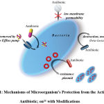 Figure 1: Mechanisms of microorganism’s protection from the action of antibiotic; on21 with modifications.