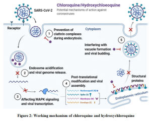 Figure 2: Working mechanism of chloroquine and hydroxychloroquine