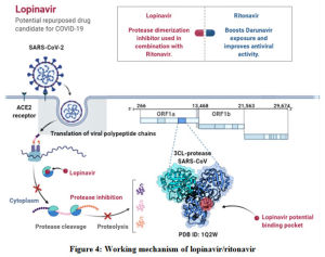 Figure 4: Working mechanism of lopinavir/ritonavir