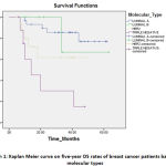 Graph 1: Kaplan Meier curve on five-year OS rates of breast cancer patients based on molecular types