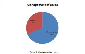 Figure 3: Management of cases.