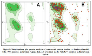 Figure 1: Ramchandran plot protein analysis of constructed protein models. A: Preferred model with 100% residues in favored region; B: Least preferred model with 82% residues in the favored region.