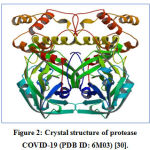 Figure 2: Crystal structure of protease COVID-19 (PDB ID: 6M03) [30].