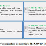 Figure 4: Laboratory examination demonstrate the COVID-19 different stages [41]