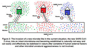 Figure 2: The invasion of a new microbe like in the current situation, the new SARS CoV-2 virus, into an intact microbiome and becoming established is naturally not easy and can easily and effectively be stabilized in nature after sometime if human external factors and other microbial unnatural aggressiveness is not involved.