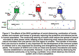 Figure 3: The effects of the WHO guidelines of social distancing, sanitization of hands, streets and markets and homes is gradually reducing the protective microbiome barrier in human population, The continuing wearing of masks shall reduce the spread of natural microbes to other places while, keeping social distancing shall reduce the transfer of natural microbes from one person and one region to another. The transfer of microbes from one source to another is very important for the development of the immune system in children and is very important for boosting and strengthening the immune system in adults. The invasion of SARS CoV-2 into an intact and dynamic microbiome and easily become established is not possible. However, it can be reinforced by destroying the microbiome community or by having a synthetic virus which destroys the immune system and is more competitive.