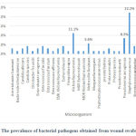 Figure 2: The prevalence of bacterial pathogens obtained from wound swabs in male
