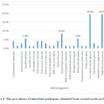 Figure 3: The prevalence of microbial pathogens obtained from wound swabs in female