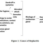 Blepharitis A Review On Human Clinical Trials With Synthetic And 