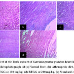 Figure 3: Effect of the Bark extract of Garcinia gummi-gutta on heart histopathology. Microphotograph of (a) Normal liver, (b) Atherogenic diet, (c) BEGG at 100 mg/kg, (d) BEGG at 200 mg/kg, (e) Standard control