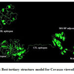 Figure 3: Best tertiary structure model for Covaxas viewed inPymol
