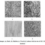 Figure 5: Four subimages. (a). Bark. (b). Bubbles (c). Wood (d). Lathear with the size of 128 ×128 from the Brodatz database