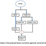 Figure 7: Scheme of the proposed feature extraction approach (extracted characteristic)