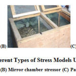 Figure 1: Different Types of Stress Models Used in the Study (A) Restraint stressor (B) Mirror chamber stressor (C) Paradigm intruder stressor