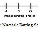 Figure 1: Numeric Ratting Scale