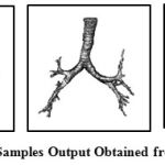 Figure 3: Samples Output Obtained from Stage I