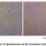 Figure 1: The number of spermatozoa in the treatment and controlgroup.