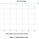 Figure 1: Kaplan Meier Chart