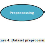 Figure 4: Dataset preprocessing