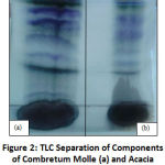 Figure 2: TLC Separation of Components of Combretum Molle (a) and Acacia Mearnsii (b) Methanolic Plant Extracts.