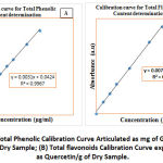 Figure 3: Total Phenolic Calibration Curve Articulated as mg of Gallic Acid/g of the Dry Sample; (B) Total flavonoids Calibration Curve expressed as Quercetin/g of Dry Sample.