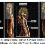 Vol14No2_Per_Nee_fig10