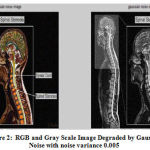 Vol14No2_Per_Nee_fig2