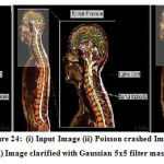 Vol14No2_Per_Nee_fig24