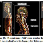 Vol14No2_Per_Nee_fig25