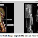 Vol14No2_Per_Nee_fig3