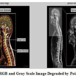 Vol14No2_Per_Nee_fig4