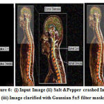 Vol14No2_Per_Nee_fig6