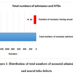 Prevalence, Associated Factors and Outcome of Neural Tube Defects: A ...