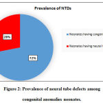 Vol14No2_Pre_Aty_fig2