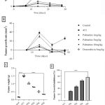 Vol14No2_Pal_Ati_fig1