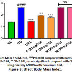 Figure 3: Effect Body Mass Index.