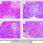 Figure 8: Pancreas Histopathology A) Normal, B) Cafeteria Diet, C) Orlistat, and D) BERH Formulation (25mg/kg).