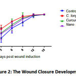 Figure 2: The Wound Closure Development %.