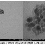 Figure 5: TEM Images of SPION-C Magnified x30000 (Left) and x200000 (Right)