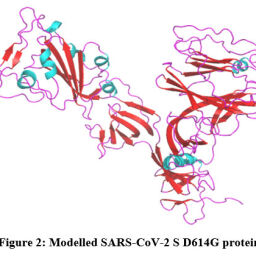 Lead Identification for Severe Acute Respiratory Syndrome Coronavirus-2 ...