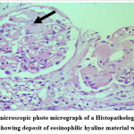 Vol15No3_Cas_Rup_fig3