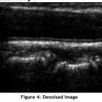 Vol15No3_Seg_Arct_fig4